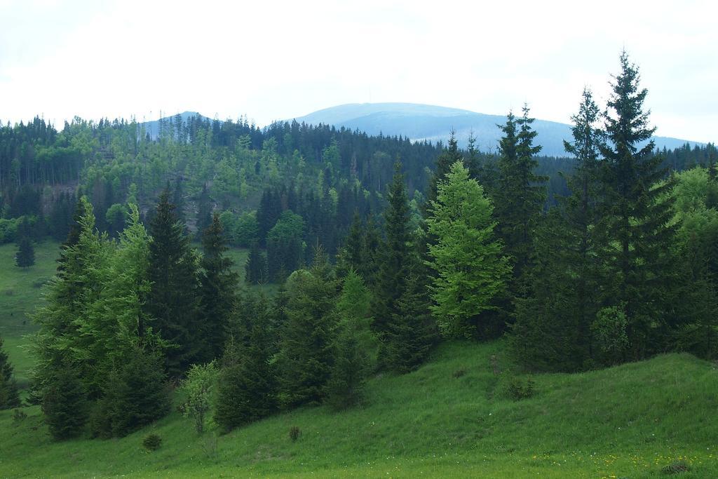Horehronska Kuria Telgárt Exterior photo